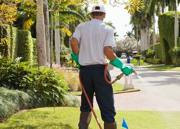 About Sea Cliff NY Pest Control